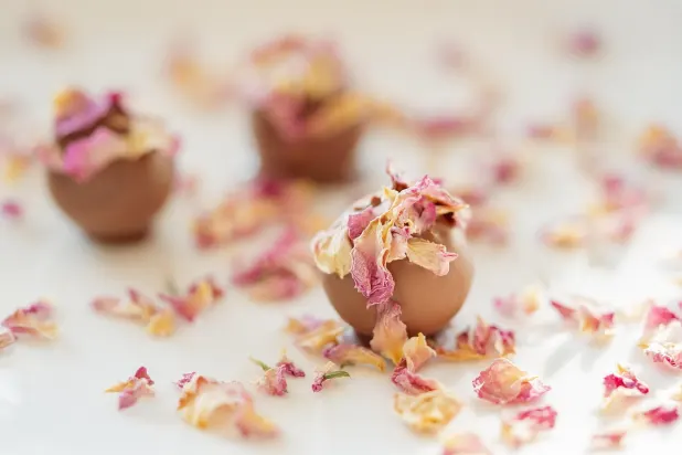 Tusk Casino Android/iOS Forrit